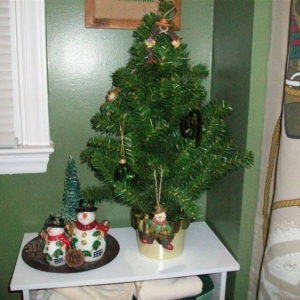 Christmas08_10mp_038_Medium_