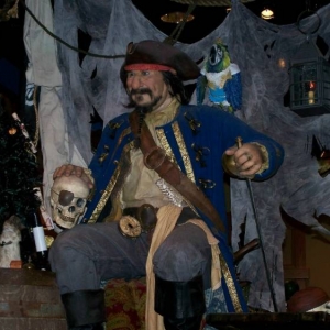 POCatDTD122106web