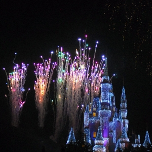 Wishes - Cinderella Castle