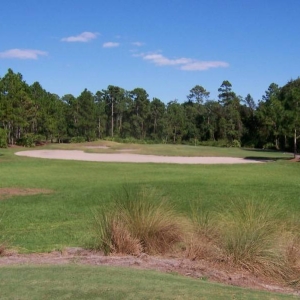Eagle Pines #12
