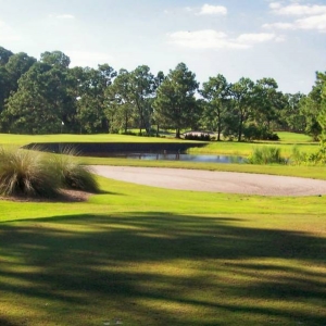 Eagle Pines #15