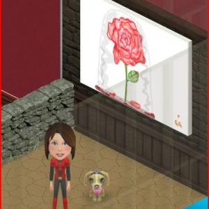 beauty_rose_best