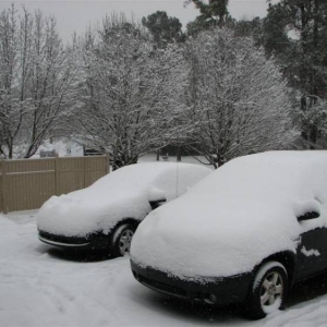 Snowday09a_002_Medium_