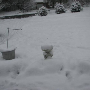 Snowday09a_003_Medium_