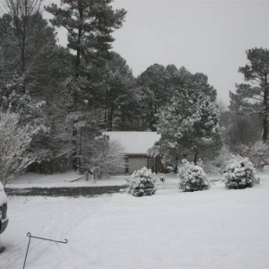 Snowday09a_004_Medium_