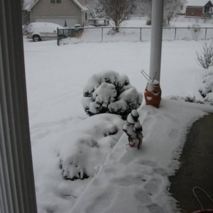 Snowday09a_006_Medium_1