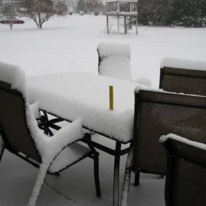 Snowday09a_012_Medium_