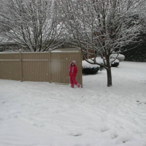 Snowday09b_011_Medium_1