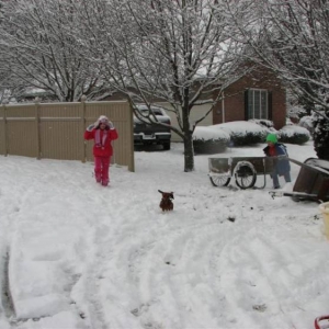 Snowday09b_016_Medium_