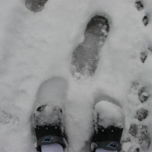 Snowday09b_017_Medium_