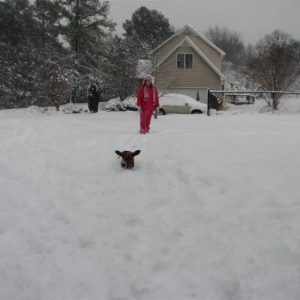 Snowday09b_019_Medium_