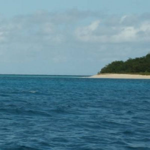 St. Croix - Buck Island 04