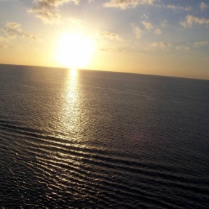cruise_037
