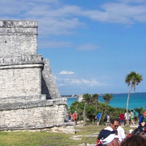 cruise_324
