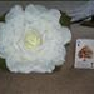 imagew3