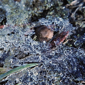 More ice