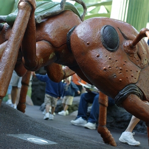 Playground ant