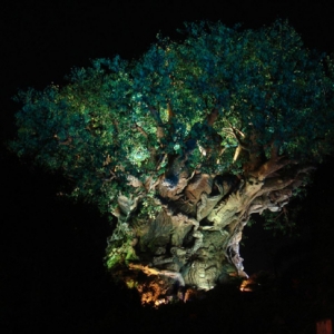 AK Tree of Life Nite