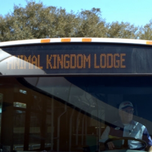 Our bus