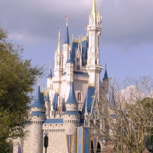 Castle - Magic Kingdom WDW