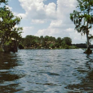 River Country
