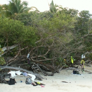 Trunk Bay - St. Johns - Beach