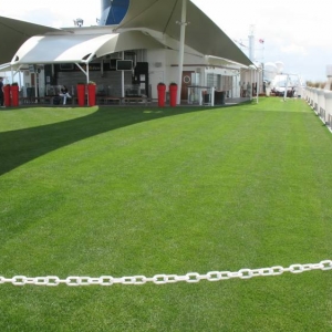 The Lawn Club