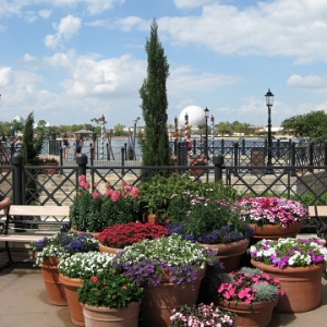 Epcot March 2009-F and G