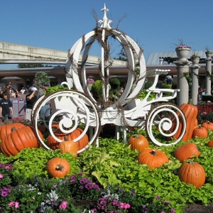 EPCOT Flower and Garden 3-09