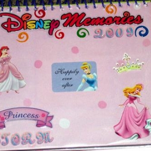 Storm's Autograph book - front