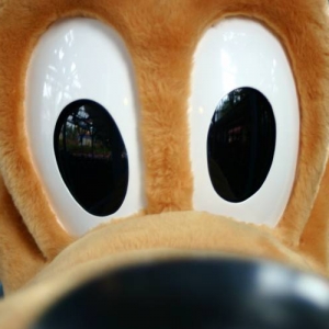 wdw2008_091