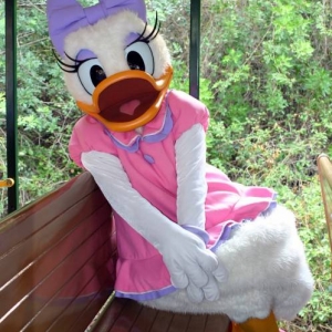 wdw2008_098