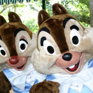 wdw2008_095