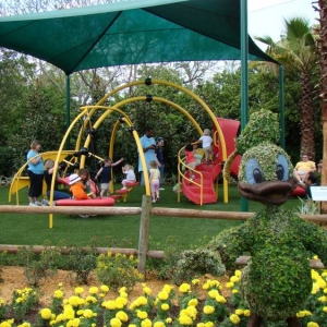 DSC03130