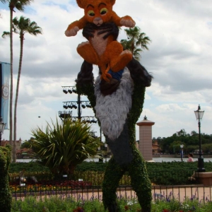 DSC03140