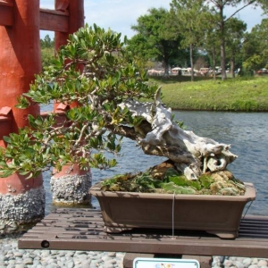 DSC03161