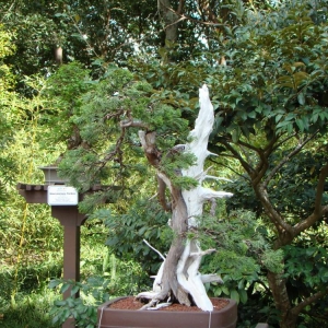 DSC03166
