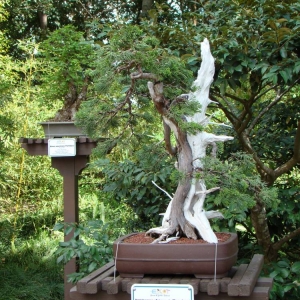 DSC03167