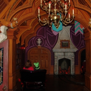 Fantasyland-Disneyland-37