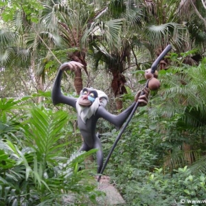 Rafiki's Planet Watch 07