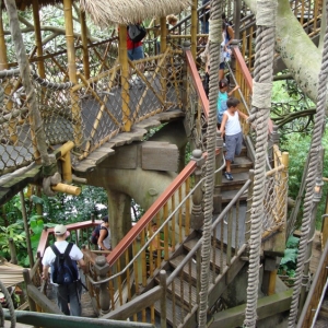 Swiss-Family-Treehouse-5