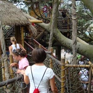 Swiss-Family-Treehouse-7