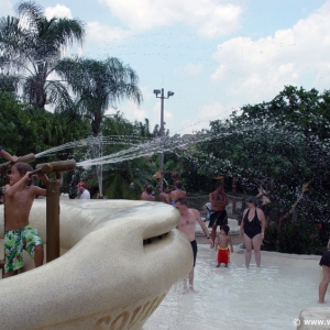 Typhoon-Lagoon-52