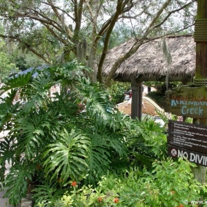 Typhoon-Lagoon-58