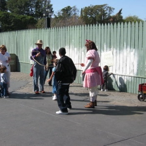 Whitewashing the fence