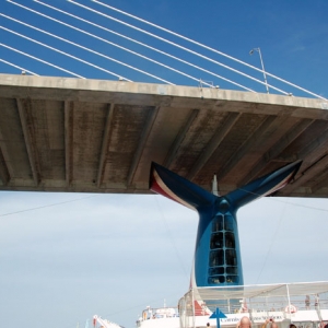 Passing under the Jacksonville Bridge