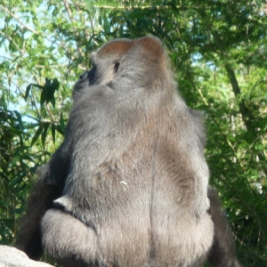 P1000550