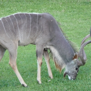 P1000570