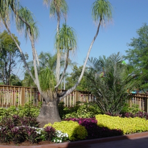 Aquatica_Sea_World_033