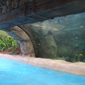 Aquatica_Sea_World_039